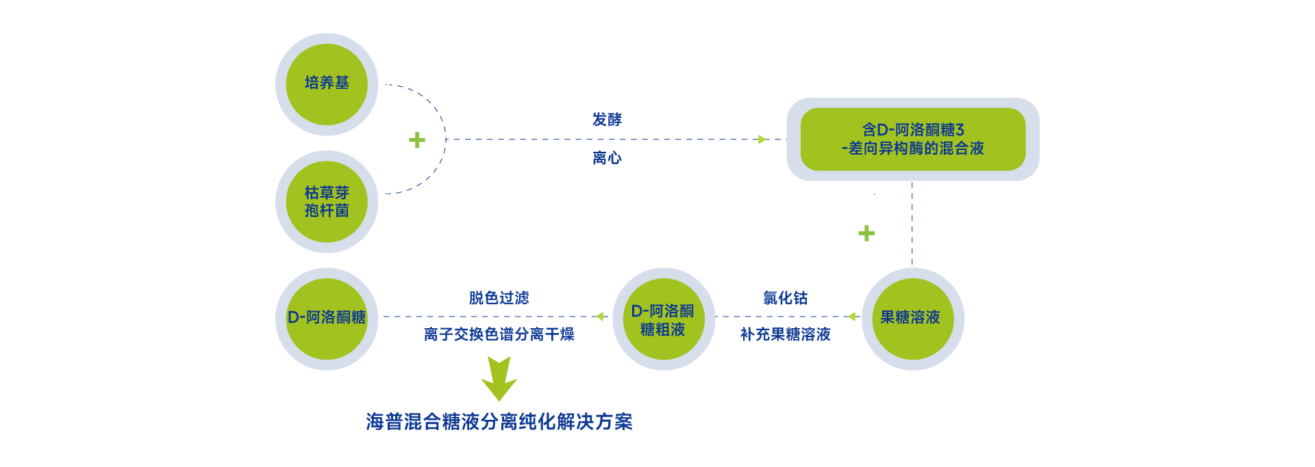 新澳门资料网