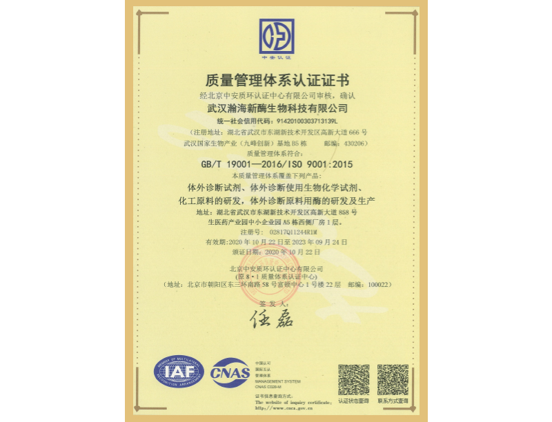 ISO9001体系认证证书