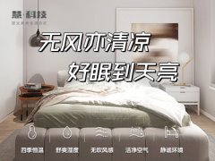 三恒系统的优缺点，有点想要了解的吗