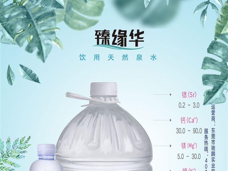 Zhenyuanhua Natural Spring Water Guarantee SEC Guangdong R3