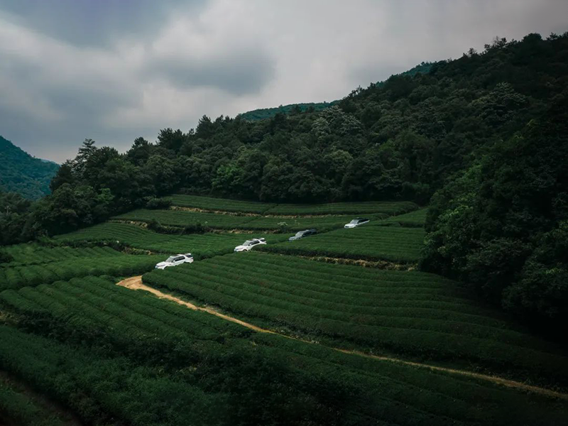 正十一，正心动。发现路虎，驰骋莫干山。