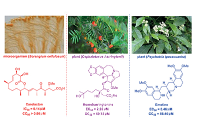 Two high-impact factor publications side by side! The important role of MicroED in natural products