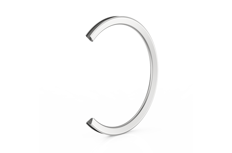 Metal V-Ring Seal