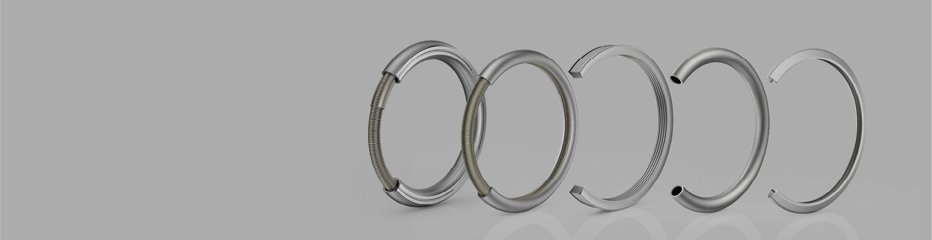 Metal E-Ring Seal