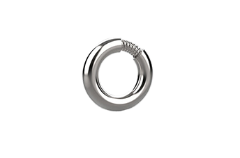 Spring Energized Metal O-ring Seal