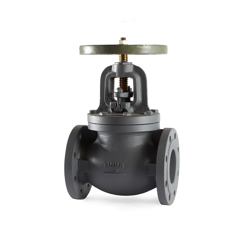 Ductile iron globe valves