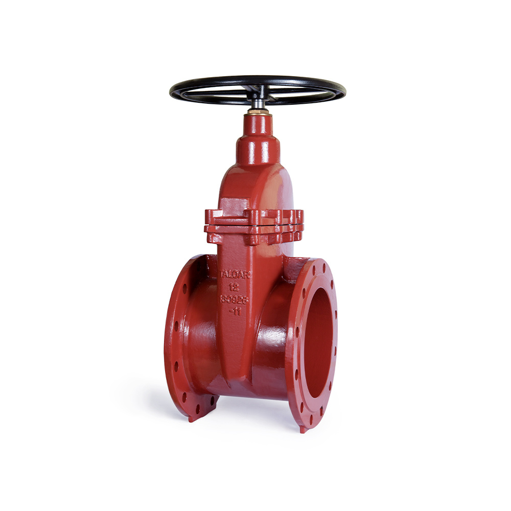 Ductile iron gate valves