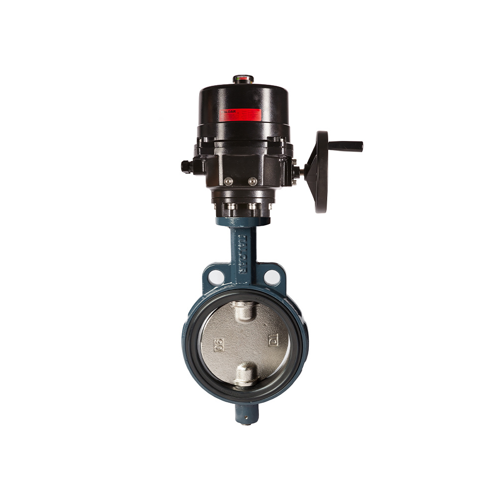 Electric butterfly valves