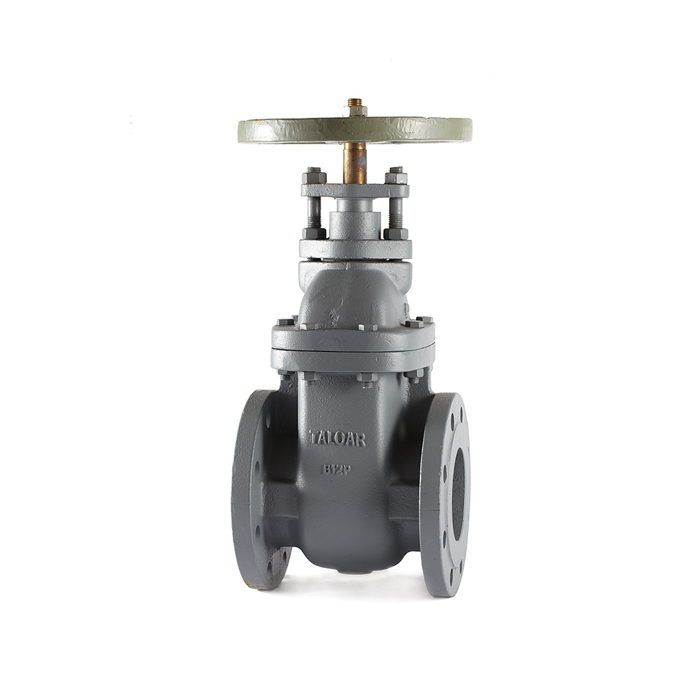 Iron gate valves MG670-N