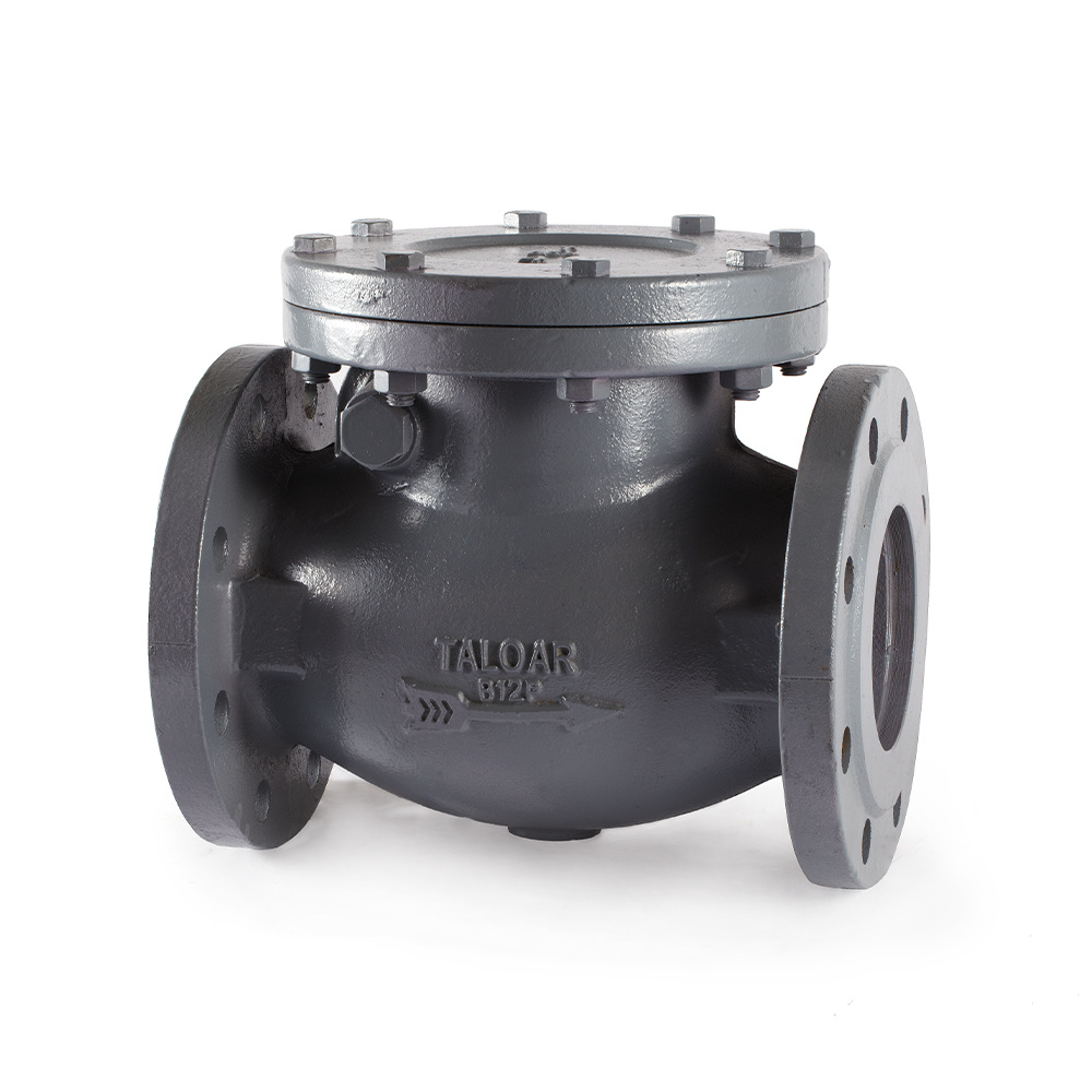 Iron check valves CF670-Y