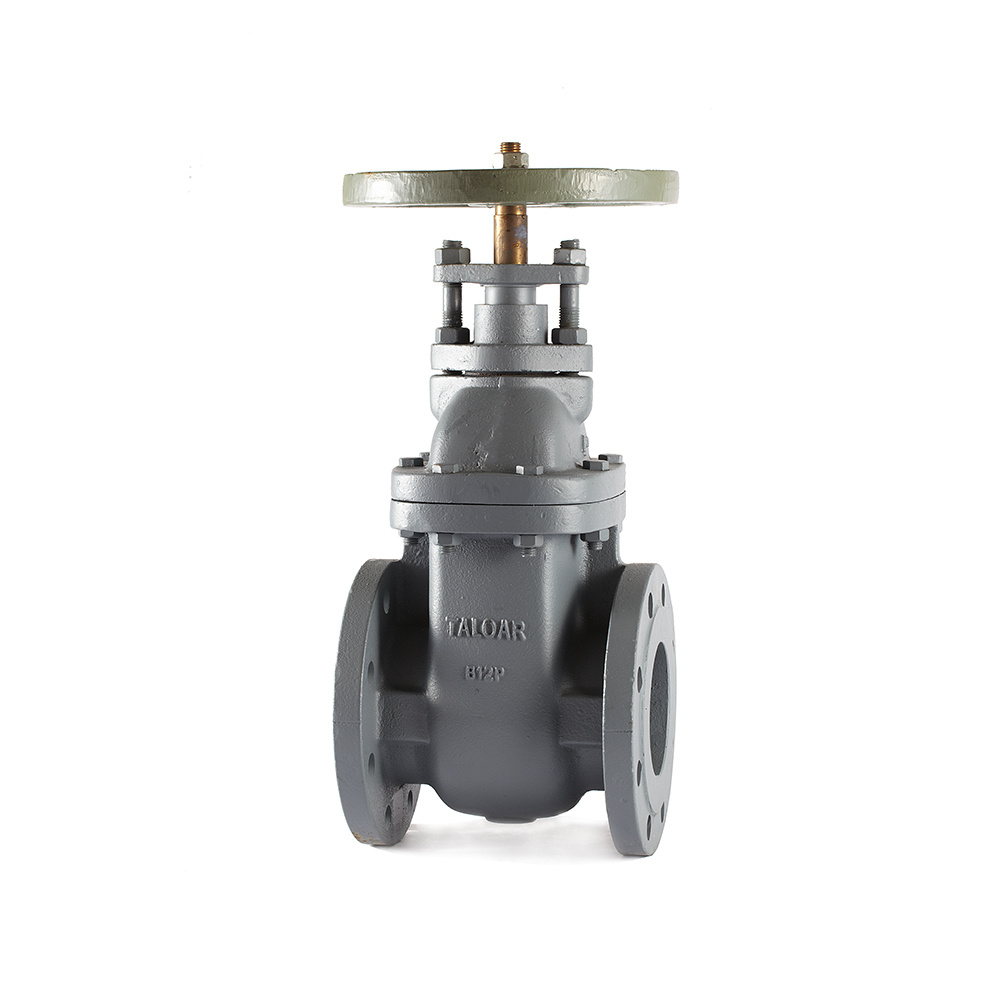 Ductile iron gate valves