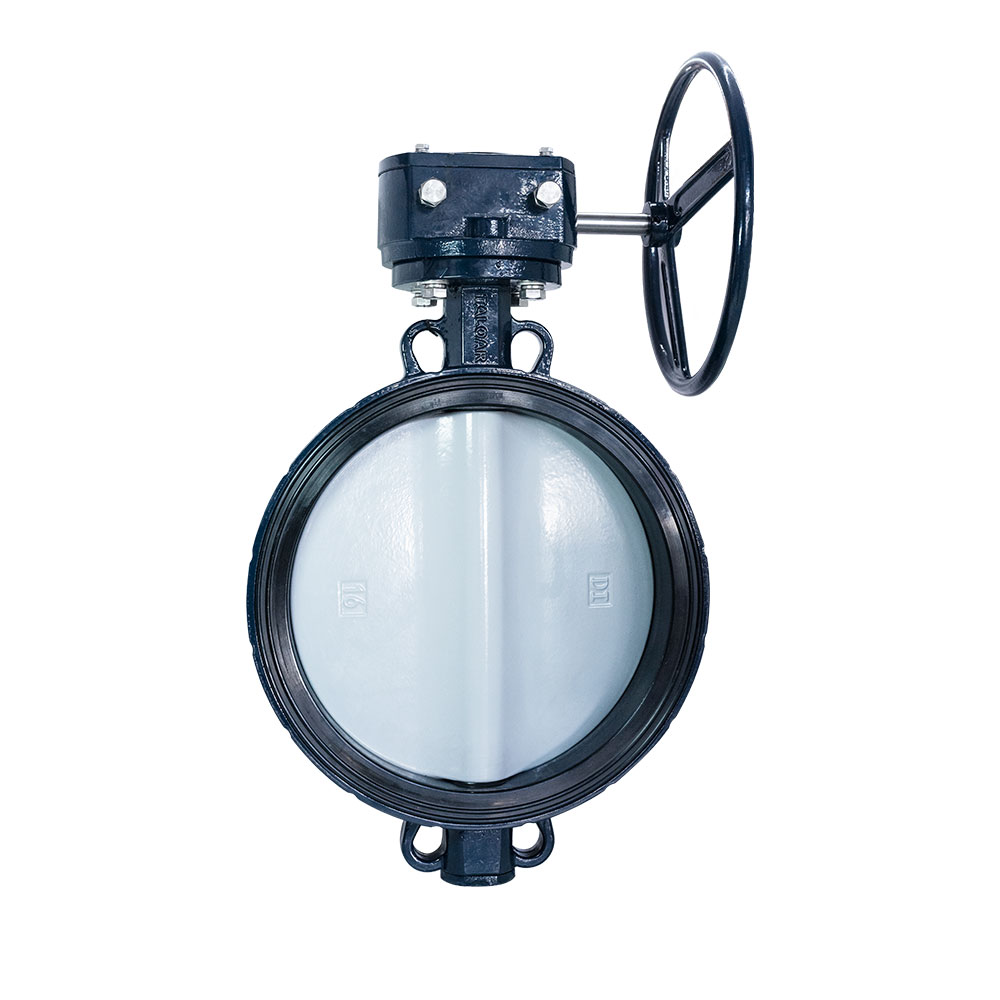 Ductile iron butterfly valves