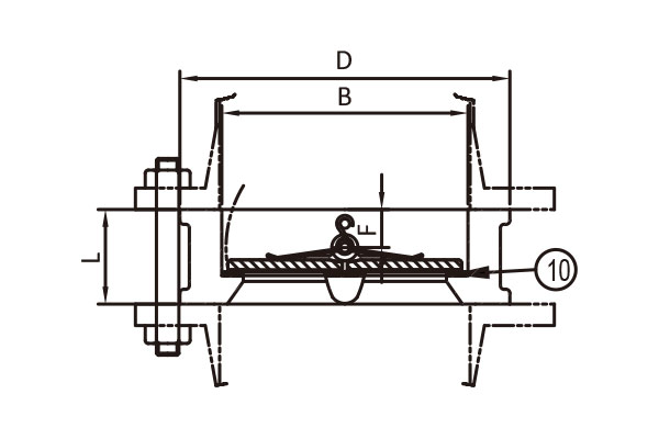 Dual plate check valves