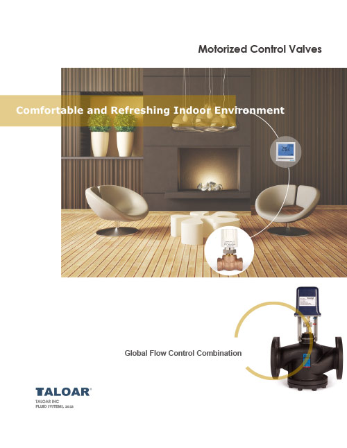 Motorized Control Valves