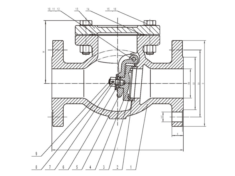 Iron check valves