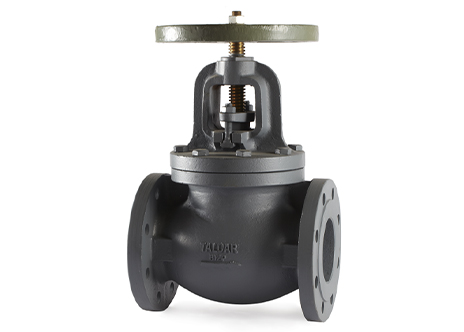 Types and Customization of Globe Valves in Taloar