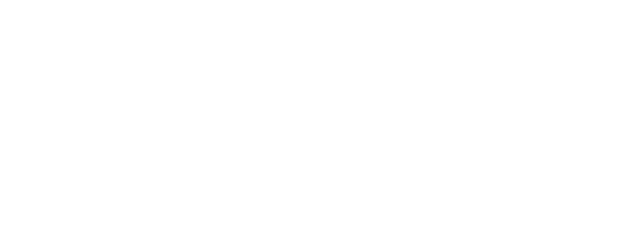 PV3000G