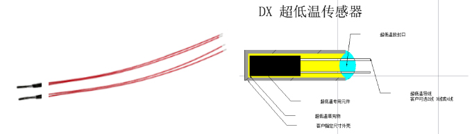 R01系列超低温传感器