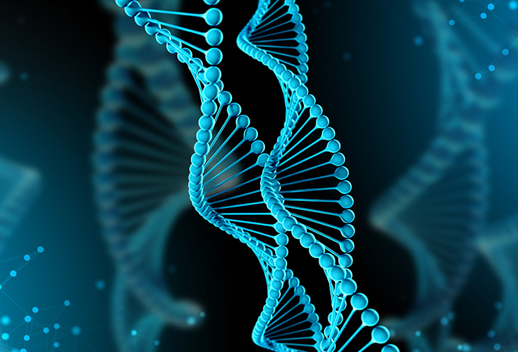 【耀文解讀】mRNA poly(A)尾在基因表達(dá)調(diào)控中的作用