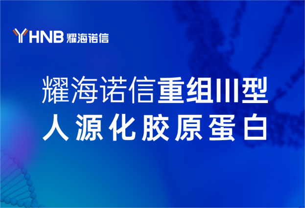 熱烈祝賀 | 耀海諾信無菌級重組III型人源化膠原蛋白原料量產成功！