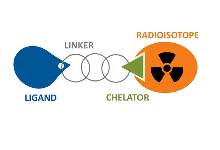 納米抗體在核藥領域的革命性應用：開啟精準醫療新紀元