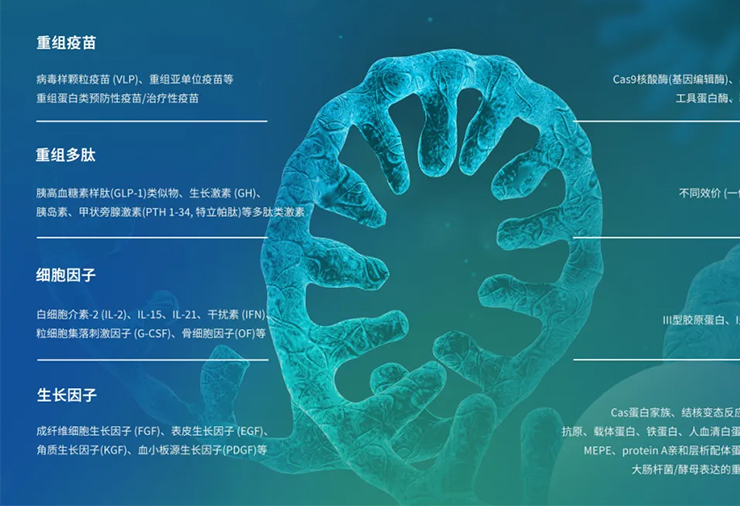 Yaohai Bio-Service | 重組蛋白中試放大服務(wù)概覽