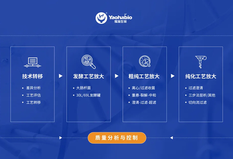 Yaohai Bio-Service | 重組質粒中試放大服務概覽